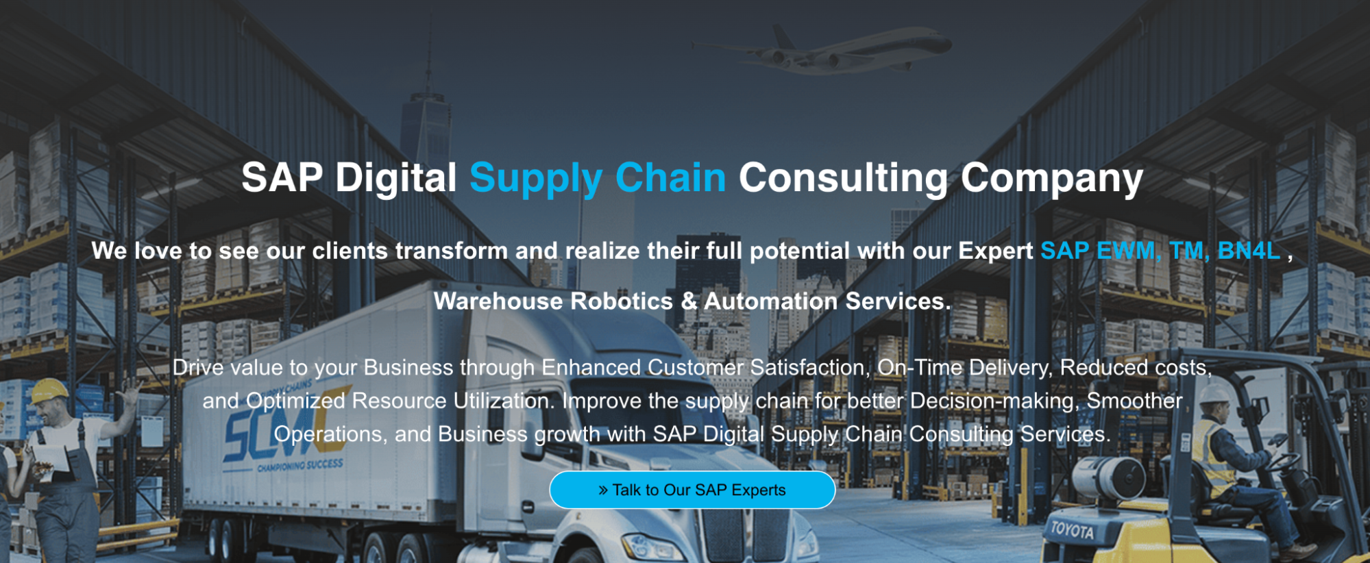 SAP experts